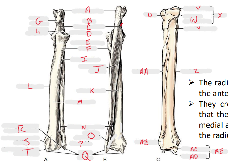 <p>What is S pointing to?</p>