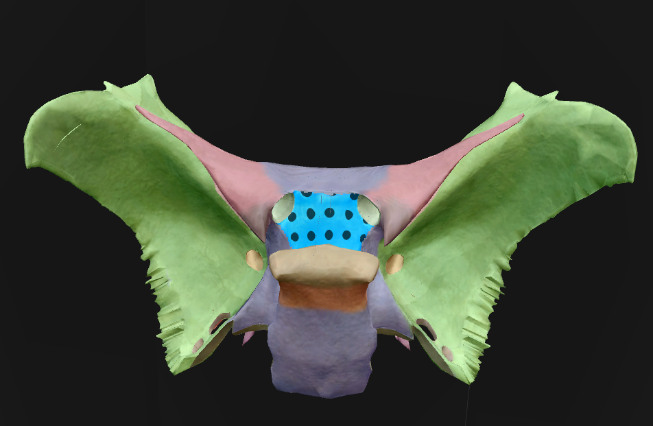 term image