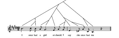 <p>A pattern of strong and weak notes where certain notes feel stronger or more stable than others</p>