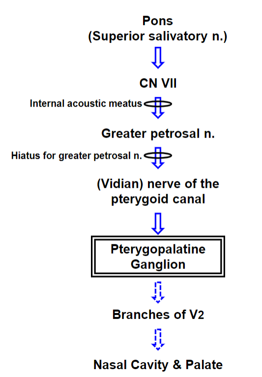knowt flashcard image