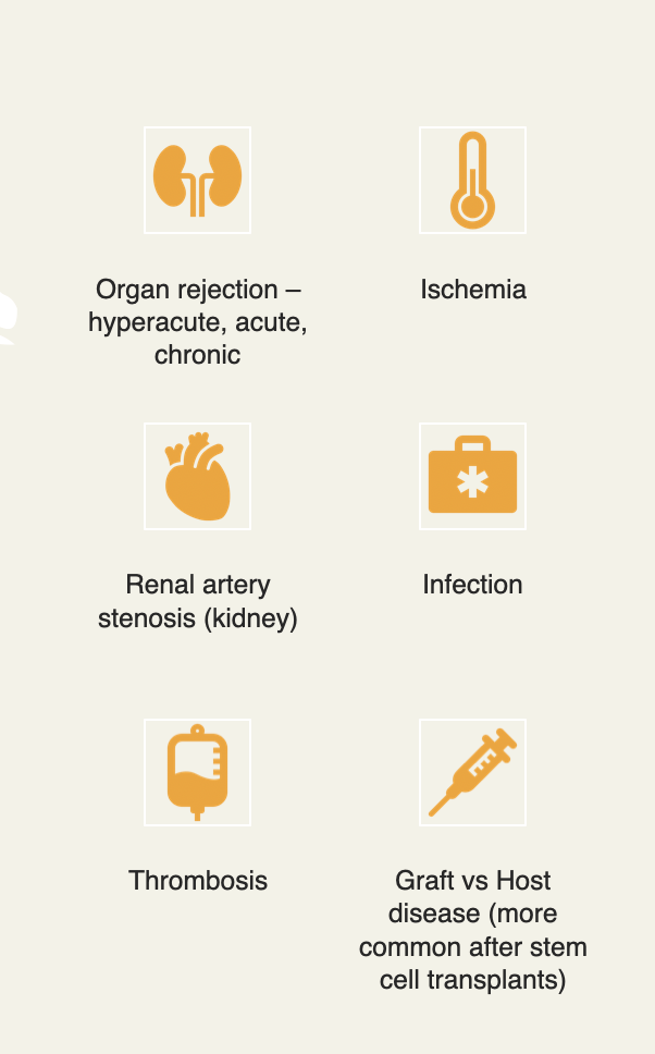 <p>Rejection: Hypertension, oliguria, fluid retention, </p><ul><li><p>call provider!</p></li></ul><p></p>