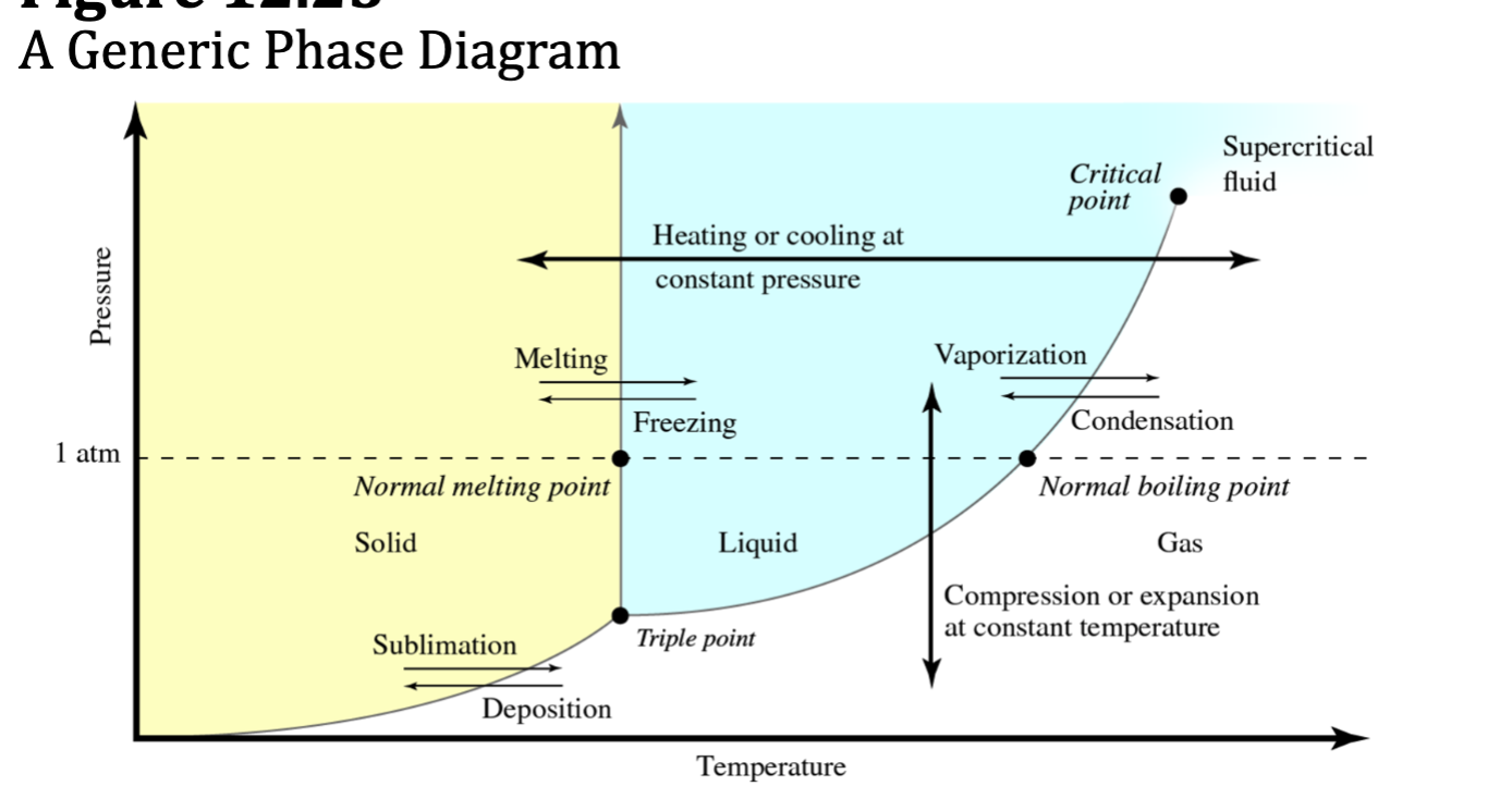 <p>shows the phase of a specific substance under all possible. pressure-temperature combinations</p><p><strong>understand how to label</strong></p>