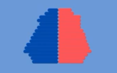 <p><strong>LOW FLUCTUATING</strong></p><p>low birth and death rate</p><p>stable population growth</p><p>High living standards, Good healthcare, Most families choose fewer children</p>