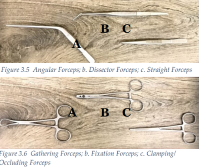 <p>Spring forceps (angular/drainage, straight, dissector), clamping and occluding, gathering, fixation</p>