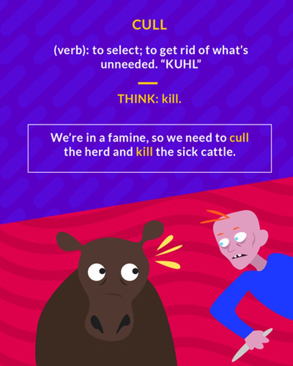<p>To select and remove weak or inferior members from.</p><p>(verb) selective slaughtering</p>
