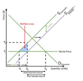 <ul><li><p>because producer gain is larger than consumer loss, the market experiences a positive surplus change</p></li><li><p>however, the government has to dish out a subsidy, which is taxpayer money it could have spent on other things (opportunity cost)</p></li><li><p>a welfare loss is still created, as some of the subsidy does not translate to surplus for producers. this is because, due to the subsidy, producers are not incentivised to produce as efficiently as before</p></li></ul><p></p>