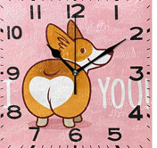 <p>-colonic mucosa</p><p>-anal sac abnormalities</p><p>-rectal or anal strictures</p><p>-mass</p><p>-urethra</p><p>-pelvic fracture</p><p>-sacral disease</p><p>-prostate disease</p>