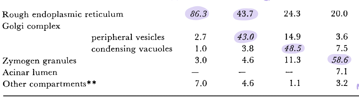 <p>in this table: what do each of the percentages mean?</p>