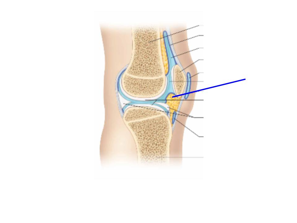 <p>What is this image pointing at? </p>