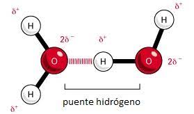 <p>Enlace entre hidrógeno y moléculas altamente E.N como N, O y F.</p><p>Además producto del enlace, el hidrógeno queda cargado parcialmente (tiene una pequeña carga positiva y negativa), llevando a que interactúe con otras moléculas E.N vecinas, dejando al hidrógeno como puente entre ambos átomos.</p><p>Un buen ejemplo de estos enlaces es el agua. Explicando su punto de ebullición elevado y porque su estado sólido es menos denso.</p>