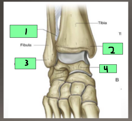 <p>1</p>