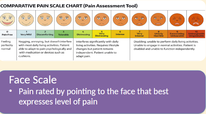 Scale 3