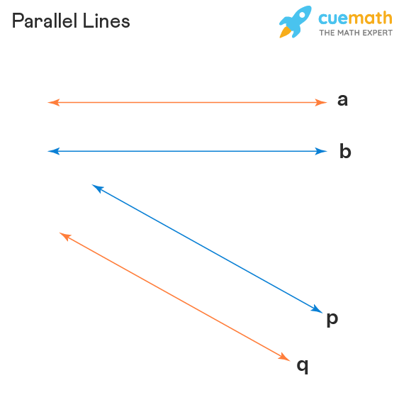 <p>lines in the same plane that never intersect and are always the same distance apart </p>