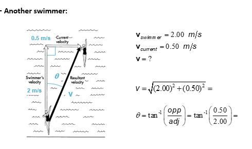 <p>EX another swimmer </p>
