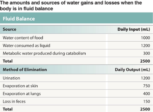 <p>The source and method of elimination of water are equal </p>