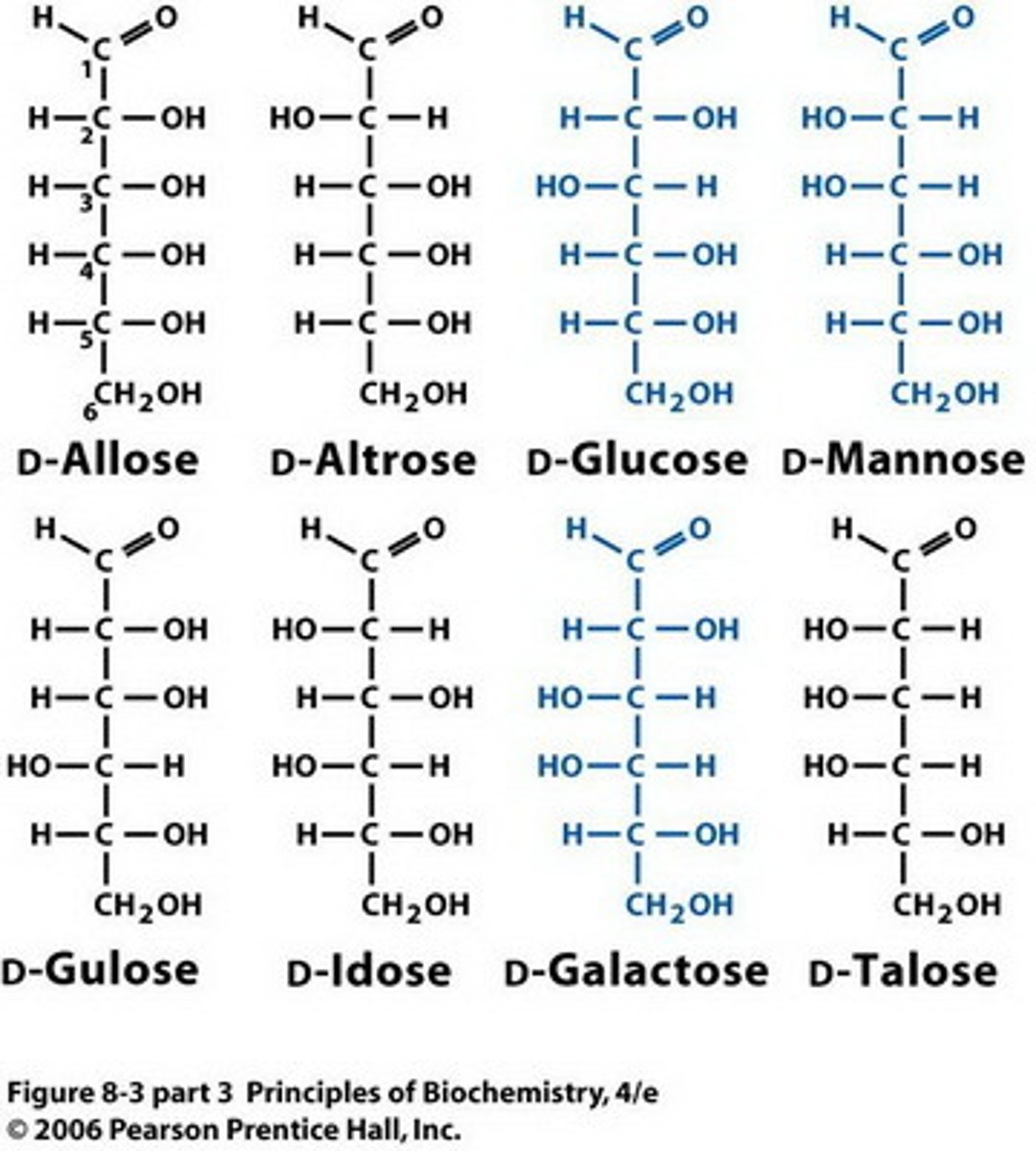 <p>(C) 8</p><p>An aldohexose has 4 chiral centers. You can calculate the possible number of configurations using the formula 2^n where n is the number of stereocenters. 2^4 is 16, so there are 16 possible aldohexoses (8 D-aldohexoses and 8 L-aldohexoses).</p>