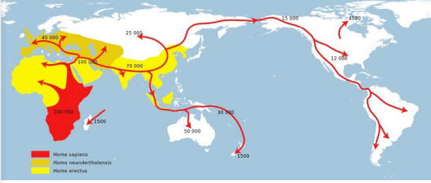 <p><span>&nbsp;Neanderthales and homerectus were in eurpoe and in china and india when homosapians first emerged out of Africa.</span><span style="color: windowtext">&nbsp;</span></p>