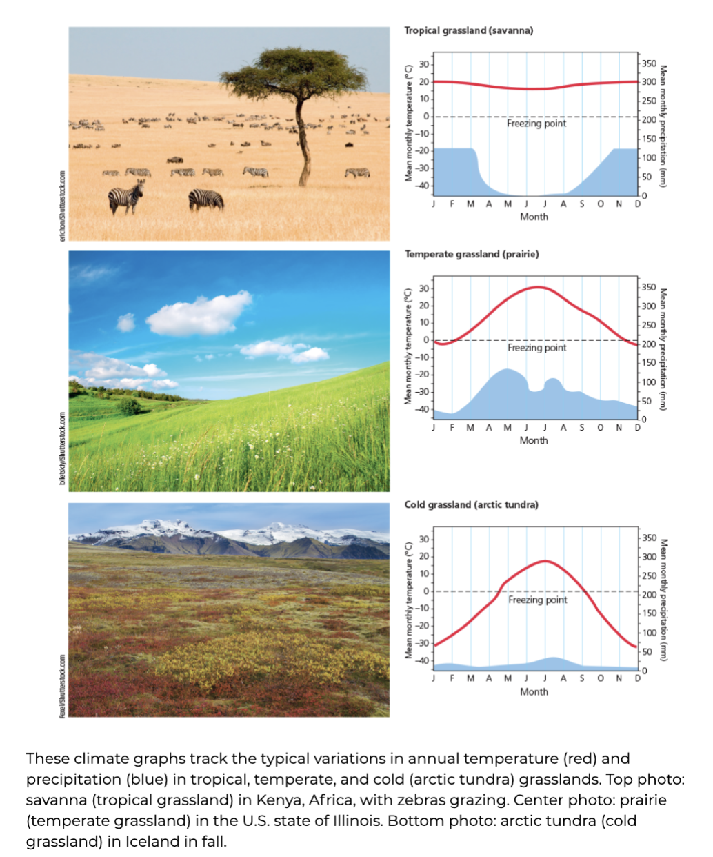 <p><span><strong>Grasslands</strong></span></p>