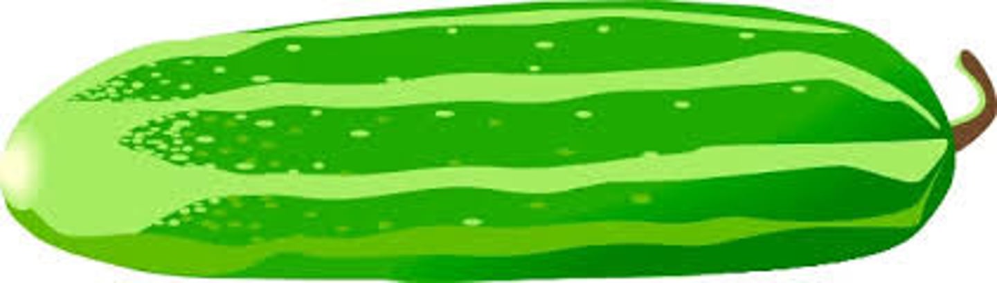 <p>cucumber</p>