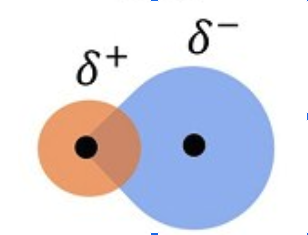 <p>electrons are shared unequally</p>