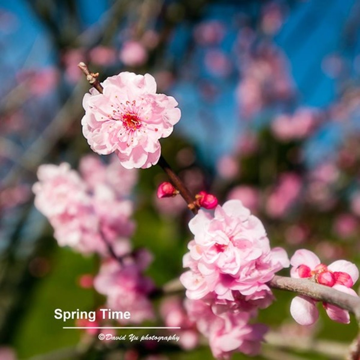 <p>spring (season)</p>