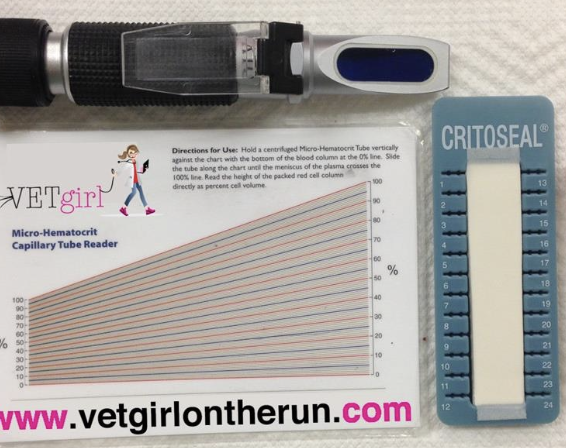 <p>whole blood loss or overhydration</p>