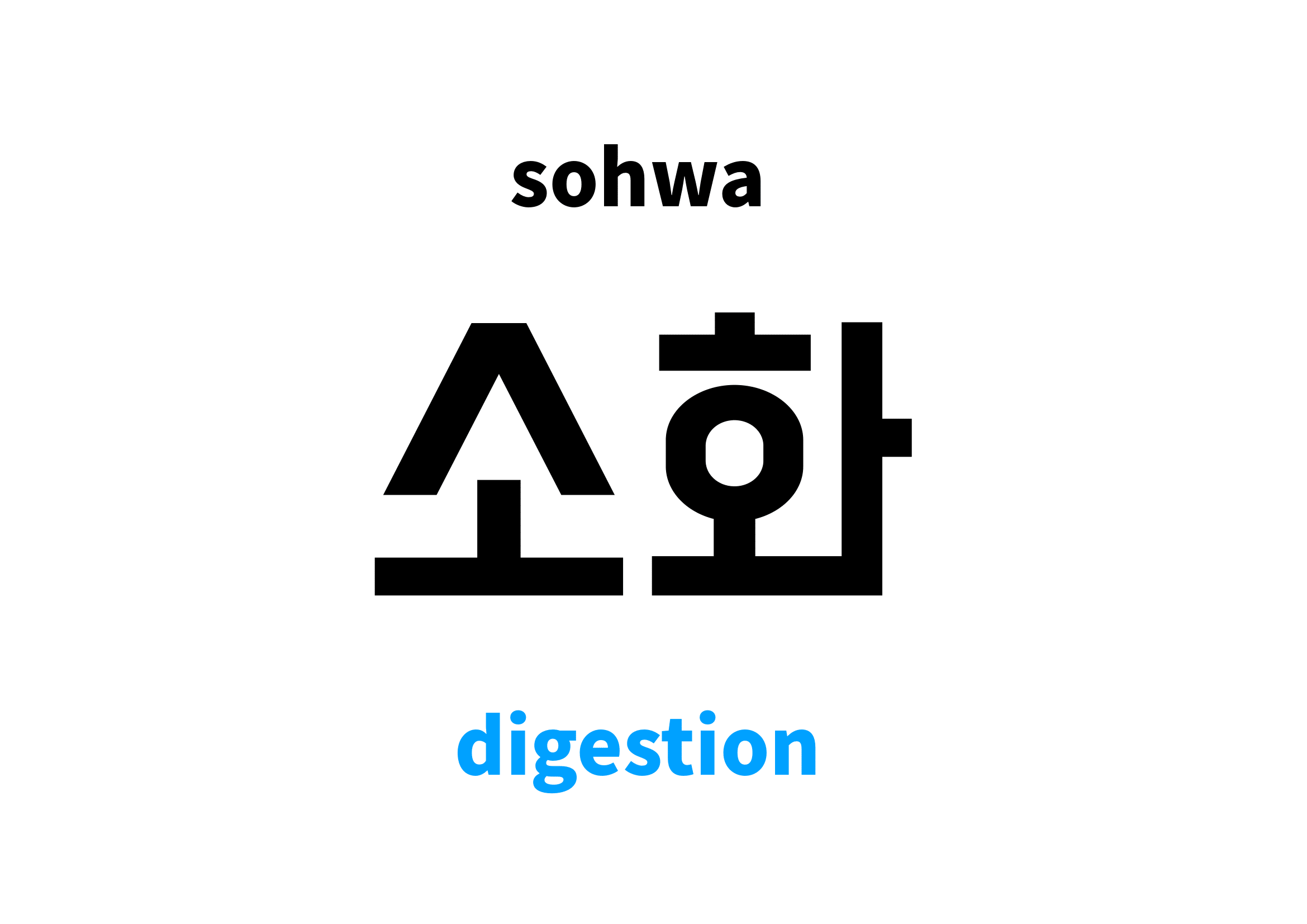 <p>digestione</p>
