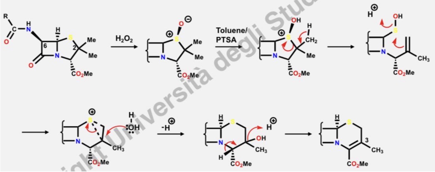 <p>Es. Cefalexima</p>