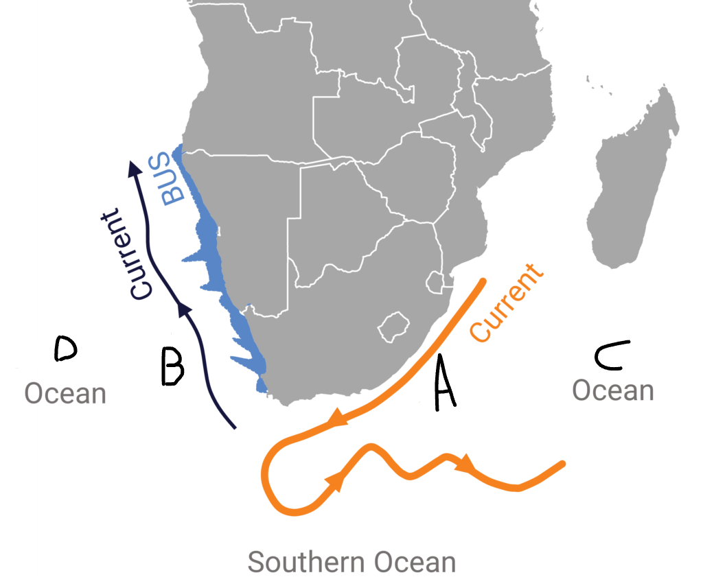 <p>Indian ocean</p>