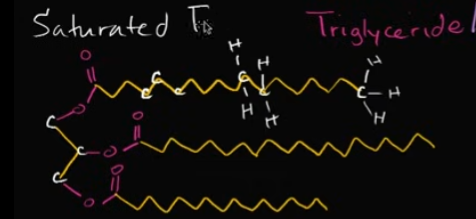 <p>This is when you see only single bonds between the carbons and for the rest, you have hydrogens. You’re essentially fitting on as many hydrogens as possible, aka saturating it!<br><br>Look at the image!</p>