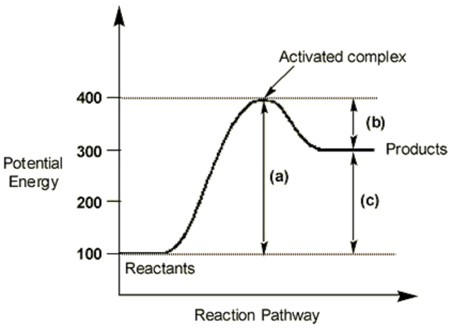 <p>the structure that is made up of the substrate bonded to the active site of the enzyme.</p>