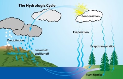 <p>The continuous movement of water on, above, and below the surface of the Earth.</p>