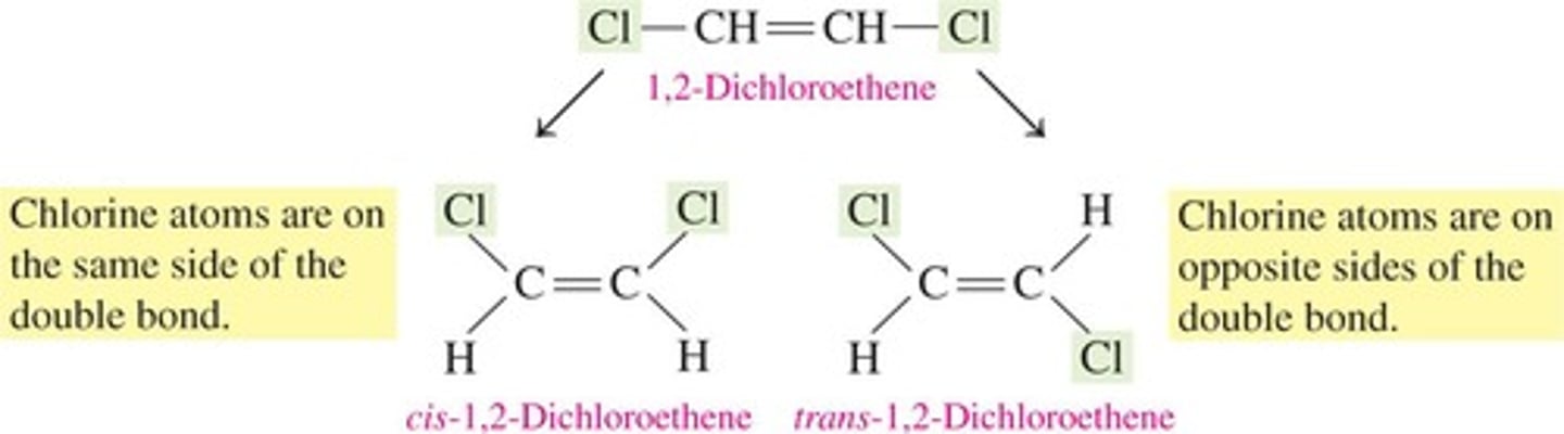 <p>They have restricted rotation around the carbon atoms of a double bond.</p>