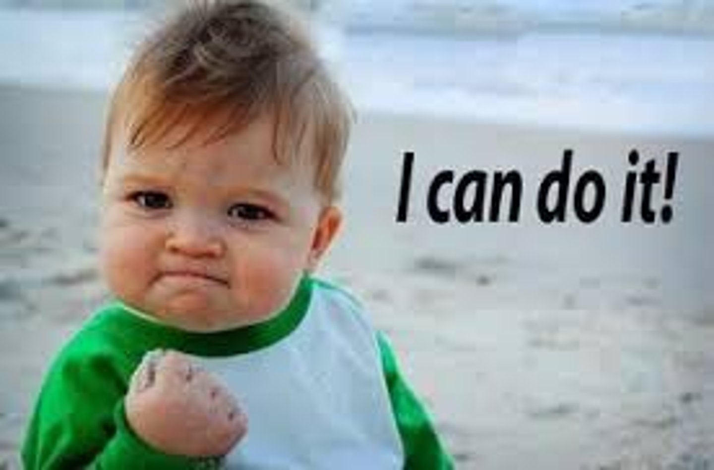 <p>(n) a strong determination to do something</p>