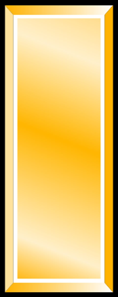 <p><span><span>Second Lieutenant - One gold bar</span></span></p>