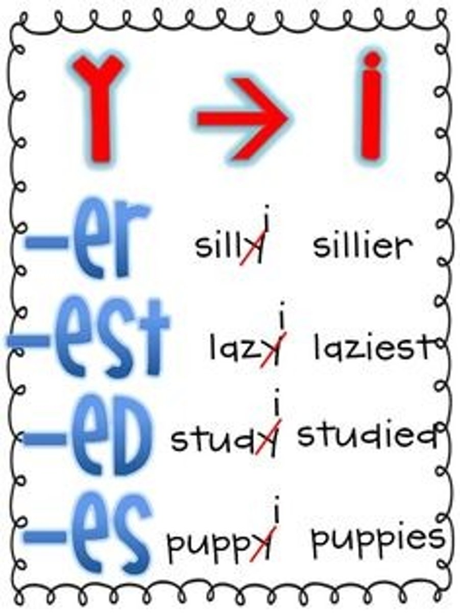 <p>Change the final "y" to an "i" - When adding a suffix to a word ending in "y" preceded by a c__________, change the "y" to "i" and add the suffix. Do not change the "y" if the suffix begins with __</p>