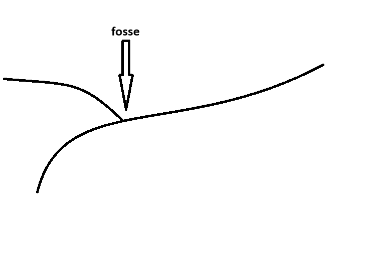 <ol><li><p>un arc insulaire (îles en forme d’arc, souvent présence de volcans)</p><p>→ Japon, Philippines, Les Antilles</p></li><li><p>des fosses océaniques</p><p>→ fosse de Puerto Rico</p></li></ol>