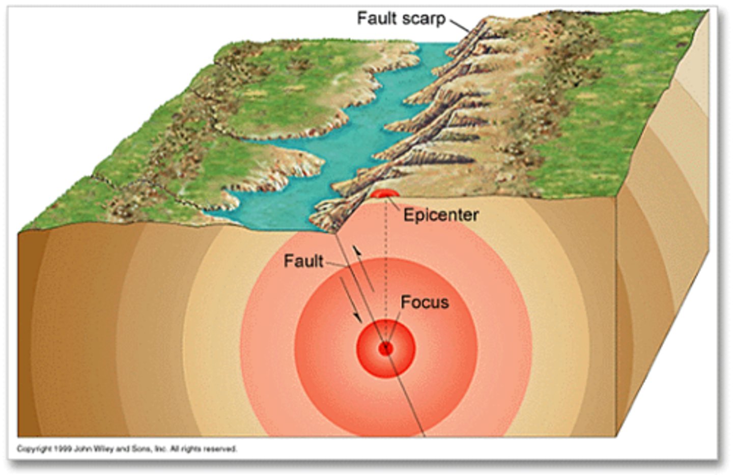 <p>the location at which the earthquake happens within the earth</p>