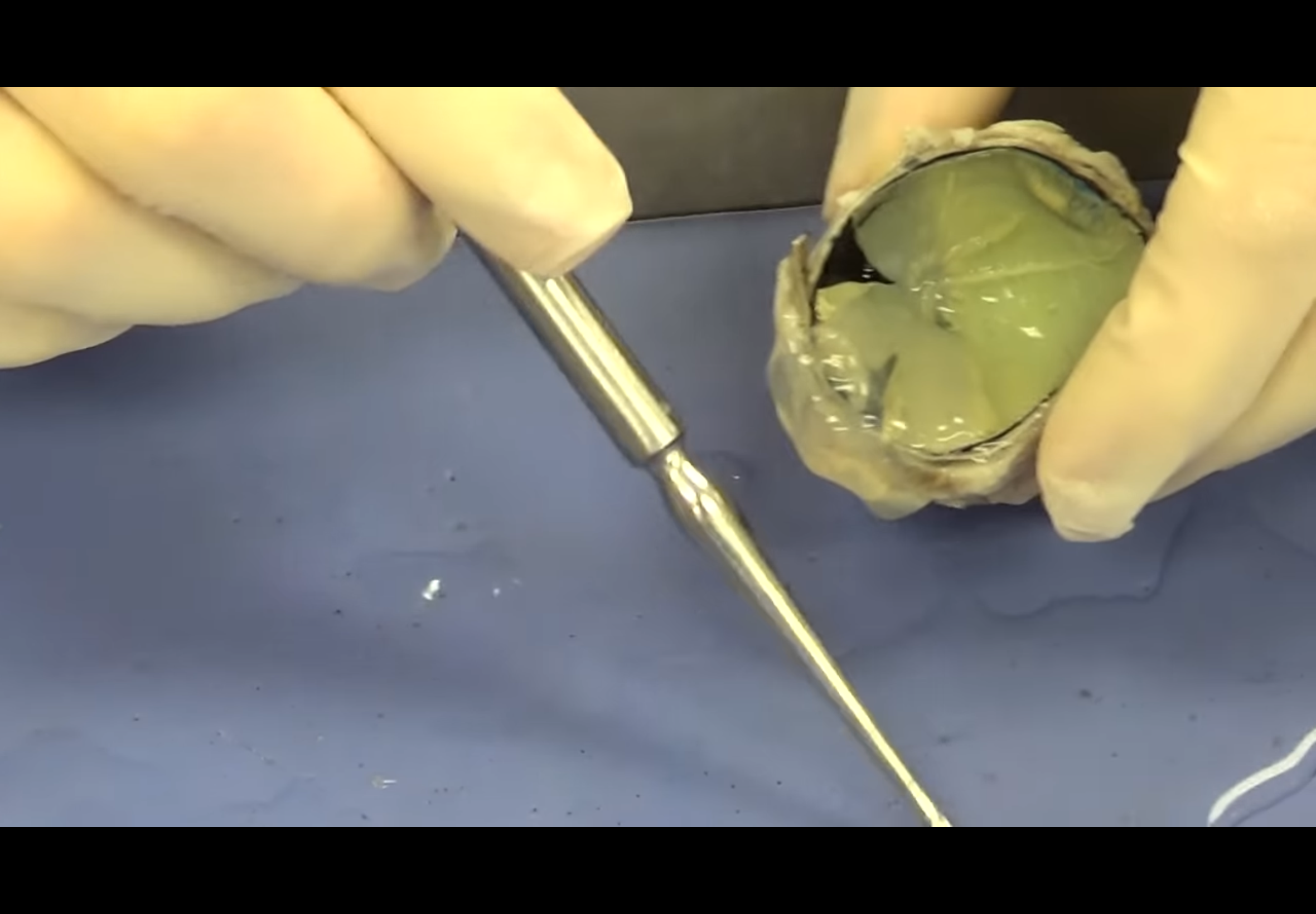 <p>Water like substance on surface</p>