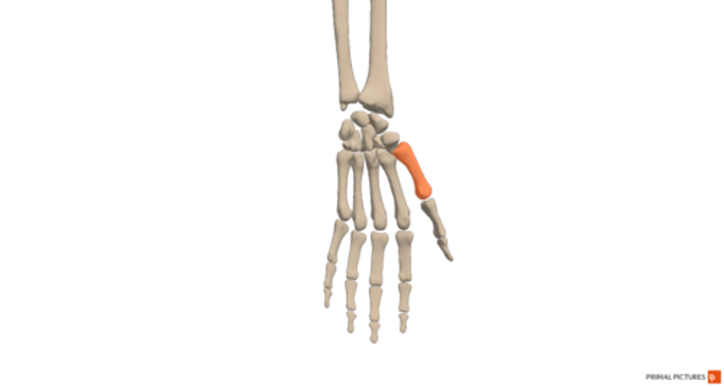 <p>hand</p>