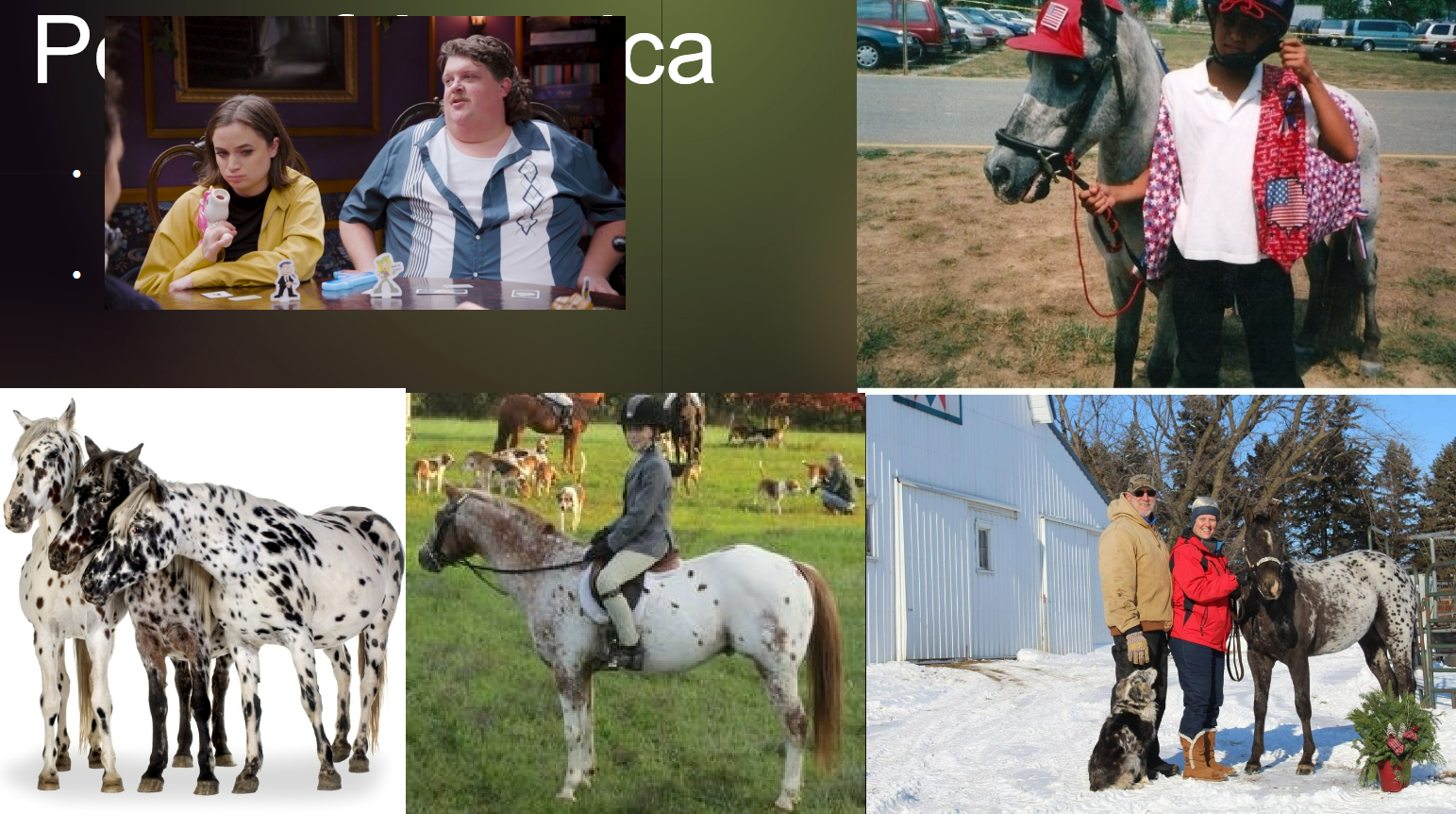 <p>Similar markings to an Appaloosa</p>