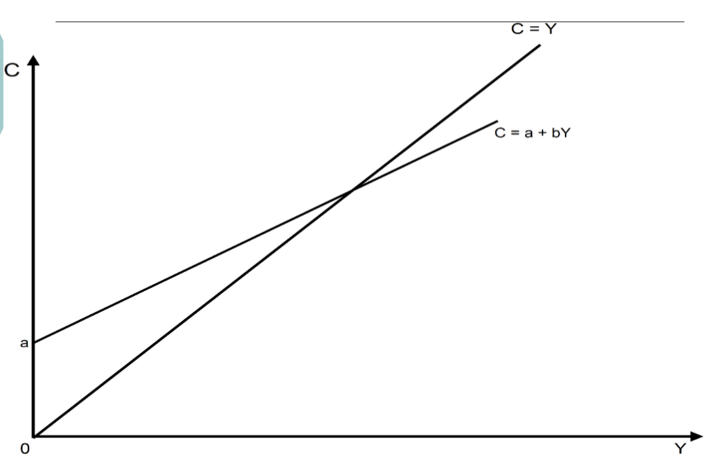 <p>Consumption Function</p>