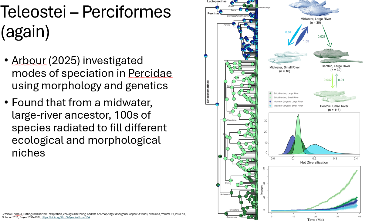 <p>what does this figure show</p>