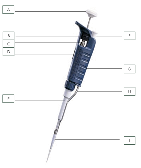 <p>Name the pipette part: D</p>