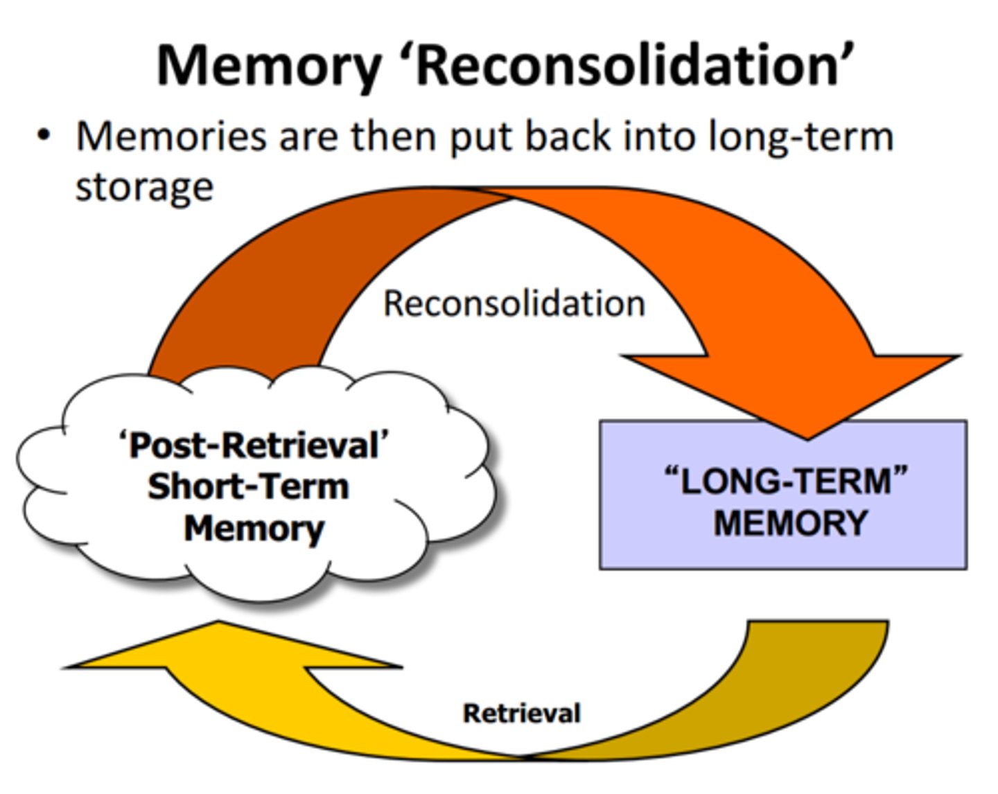 <p>memories can become vulnerable to disruption when they are recalled, requiring them to become consolidated again</p>