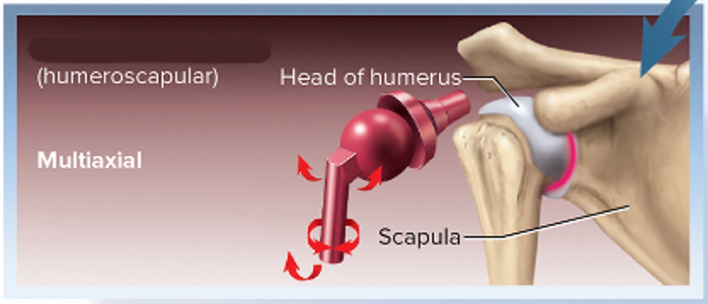 <p>Multiaxial(>2)</p>