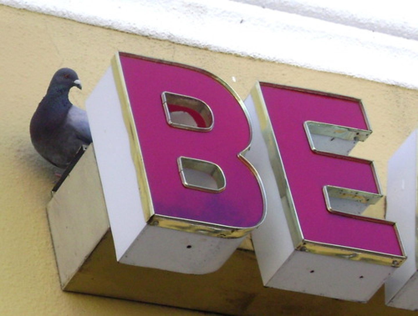 <p>To be</p>