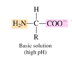 <p>negatively charged </p>