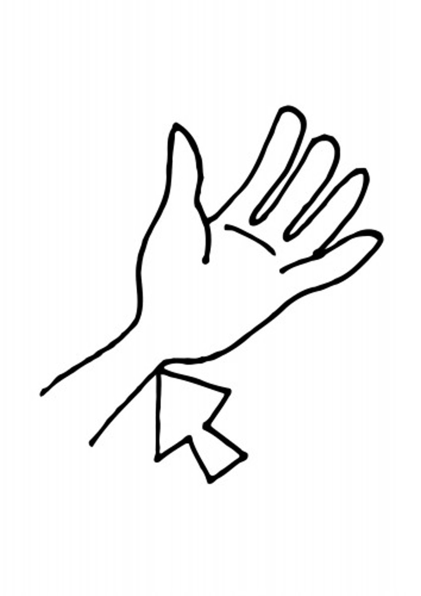 <p>wrist</p>