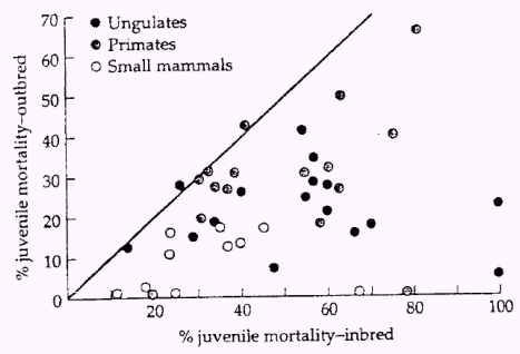  the decline in fitness observed in inbred progeny relative to completely outbred individuals